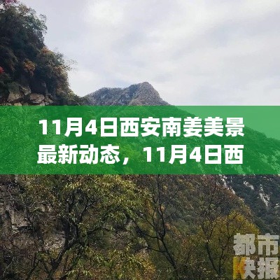 秋日醉美风光揭秘，11月4日西安南姜美景最新动态等你来发现