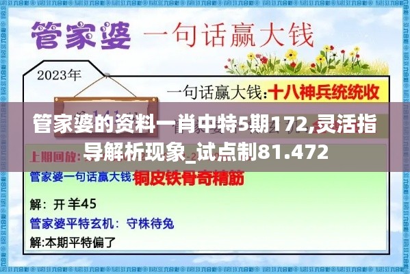 管家婆的资料一肖中特5期172,灵活指导解析现象_试点制81.472