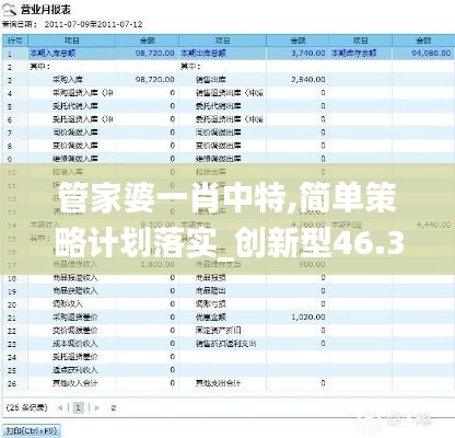 管家婆一肖中特,简单策略计划落实_创新型46.364