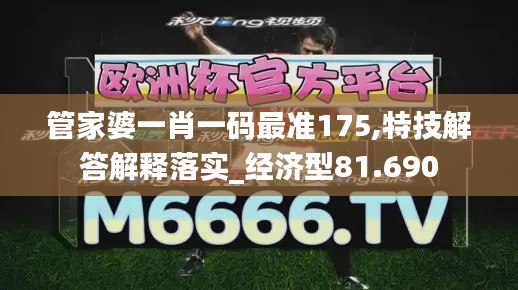 管家婆一肖一码最准175,特技解答解释落实_经济型81.690