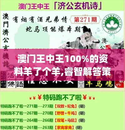 澳门王中王100%的资料羊了个羊,睿智解答策略执行_和谐品41.299