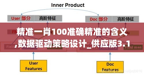 精准一肖100准确精准的含义,数据驱动策略设计_供应版3.109