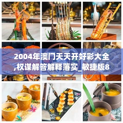 2004年澳门天天开好彩大全,权谋解答解释落实_敏捷版8.669