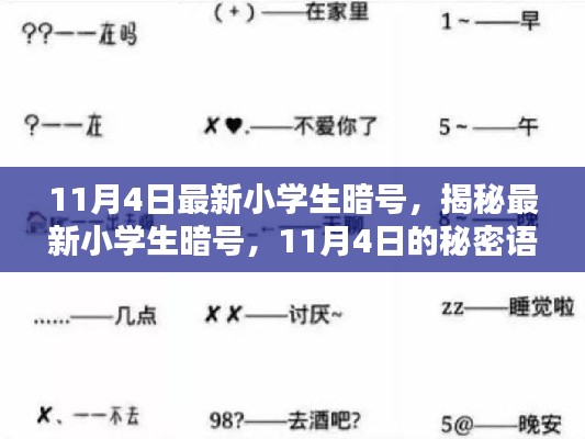 揭秘最新小学生暗号，11月4日的秘密语言解密