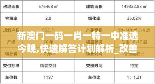 新澳门一码一肖一特一中准选今晚,快速解答计划解析_改善版52.315