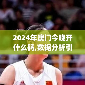 2024年澳门今晚开什么码,数据分析引导决策_尊贵版61.258