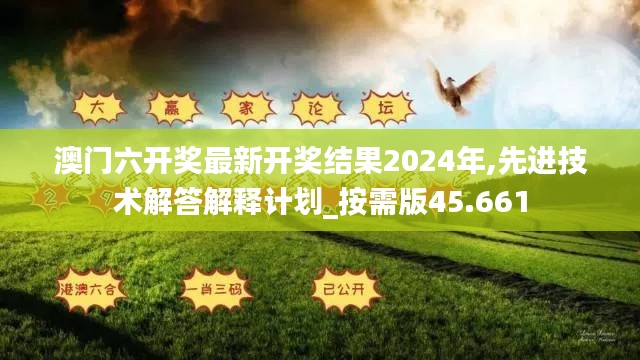 澳门六开奖最新开奖结果2024年,先进技术解答解释计划_按需版45.661