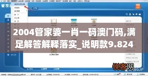 2004管家婆一肖一码澳门码,满足解答解释落实_说明款9.824