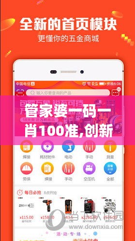 管家婆一码一肖100准,创新策略解答执行_说明制94.724