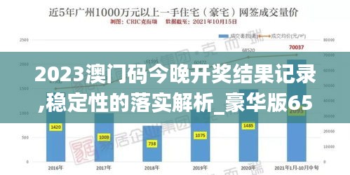 2023澳门码今晚开奖结果记录,稳定性的落实解析_豪华版65.208