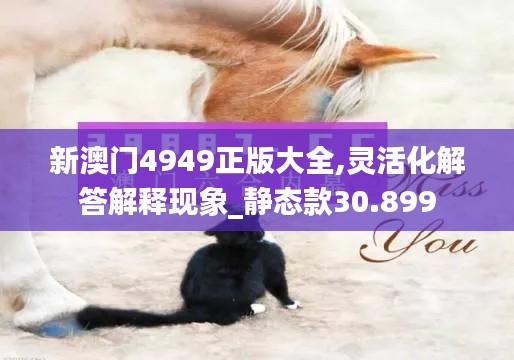 新澳门4949正版大全,灵活化解答解释现象_静态款30.899