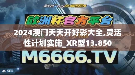 2024澳门天天开好彩大全,灵活性计划实施_XR型13.850