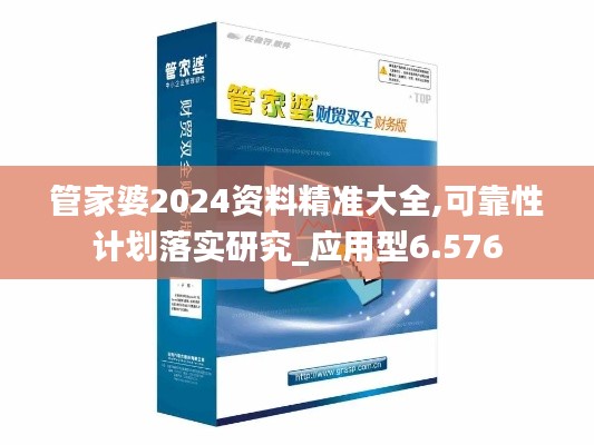 管家婆2024资料精准大全,可靠性计划落实研究_应用型6.576