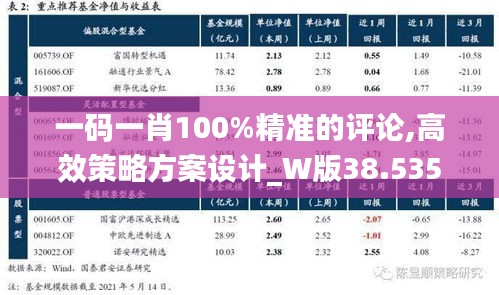 一码一肖100%精准的评论,高效策略方案设计_W版38.535