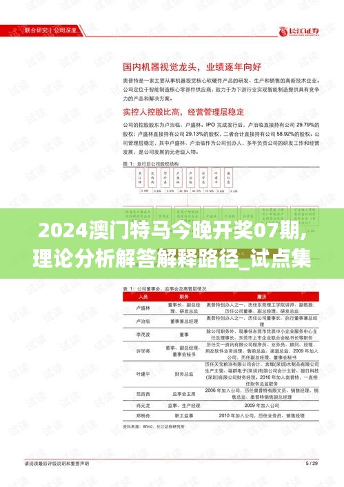 2024澳门特马今晚开奖07期,理论分析解答解释路径_试点集63.561