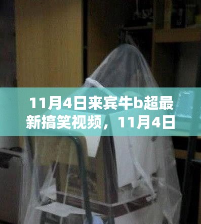 11月4日来宾牛b超搞笑视频全攻略，轻松掌握观看技巧，尽享超燃娱乐时刻