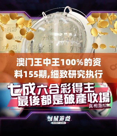 澳门王中王100%的资料155期,细致研究执行方案_远程集50.491