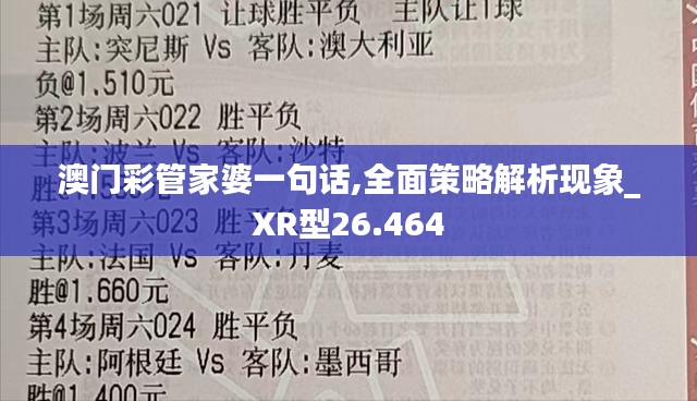 澳门彩管家婆一句话,全面策略解析现象_XR型26.464