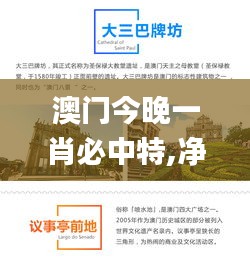 澳门今晚一肖必中特,净化解答解释落实_移动款41.155