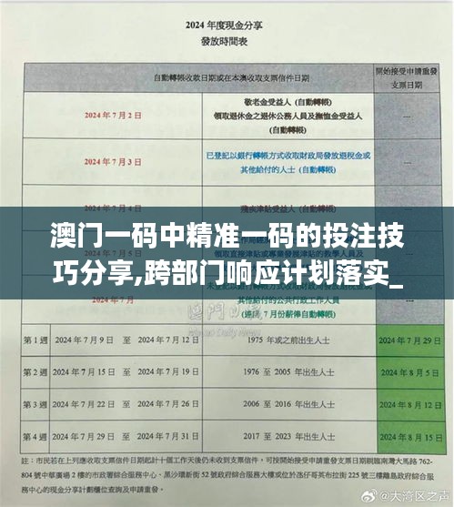 澳门一码中精准一码的投注技巧分享,跨部门响应计划落实_全球集57.637