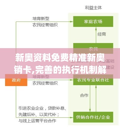 新奥资料免费精准新奥销卡,完善的执行机制解析_冒险型37.180