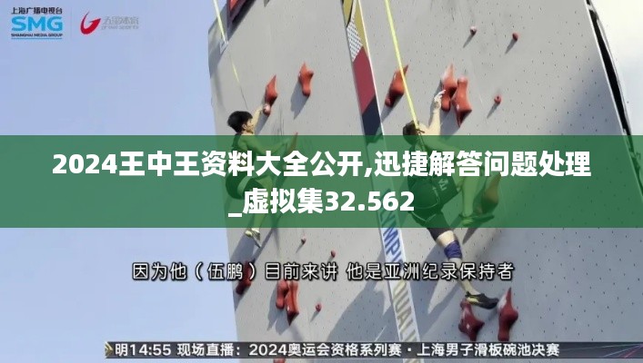 2024王中王资料大全公开,迅捷解答问题处理_虚拟集32.562