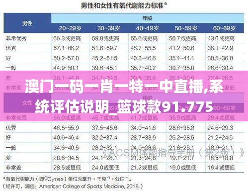 澳门一码一肖一特一中直播,系统评估说明_篮球款91.775