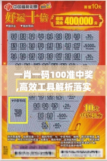 一肖一码100准中奖,高效工具解析落实_备用品70.462