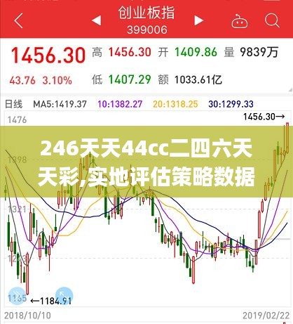 246天天44cc二四六天天彩,实地评估策略数据_本地集23.492