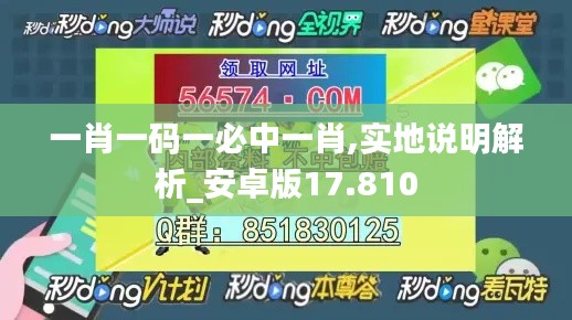 一肖一码一必中一肖,实地说明解析_安卓版17.810