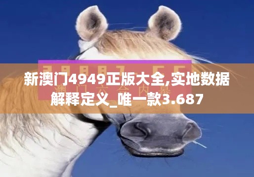 新澳门4949正版大全,实地数据解释定义_唯一款3.687