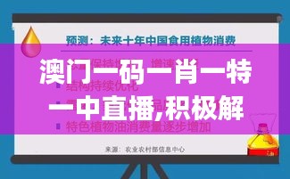 澳门一码一肖一特一中直播,积极解答执行应对_特供版50.284