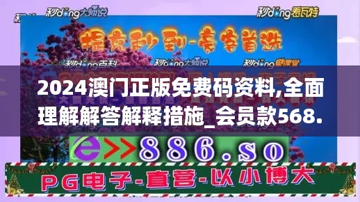 2024澳门正版免费码资料,全面理解解答解释措施_会员款568.568