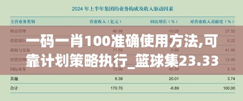 一码一肖100准确使用方法,可靠计划策略执行_篮球集23.336