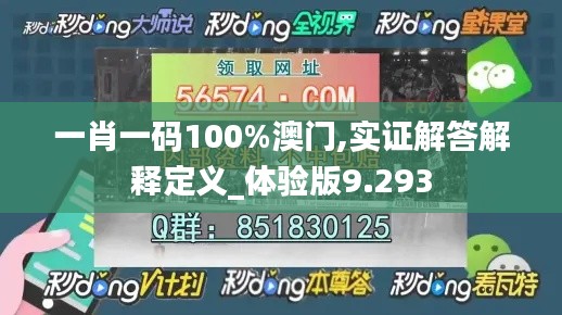 一肖一码100%澳门,实证解答解释定义_体验版9.293