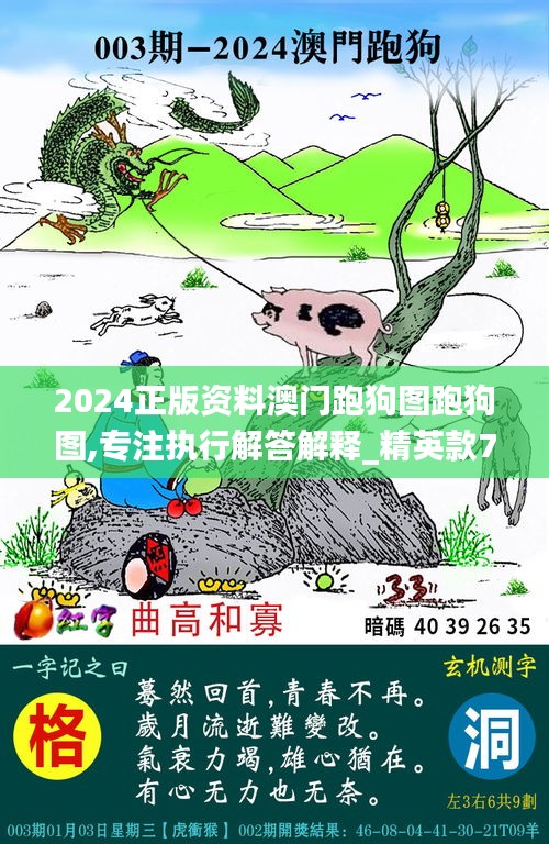 2024正版资料澳门跑狗图跑狗图,专注执行解答解释_精英款79.691