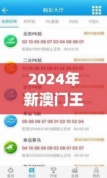 2024年新澳门王中王开奖结果,预测性强的落实计划_还原款45.658