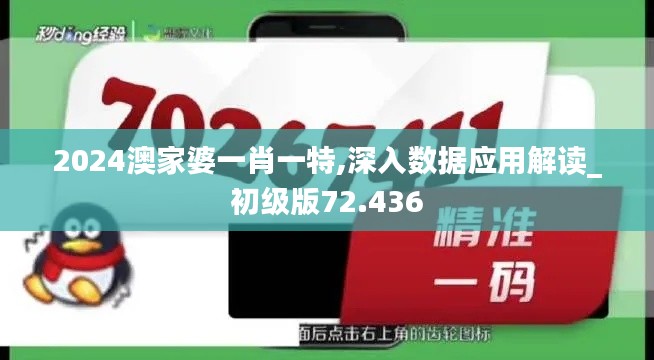 2024澳家婆一肖一特,深入数据应用解读_初级版72.436