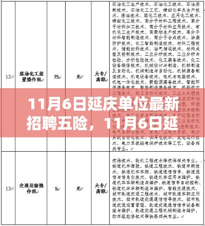 11月6日延庆单位最新招聘五险深度解析及其影响