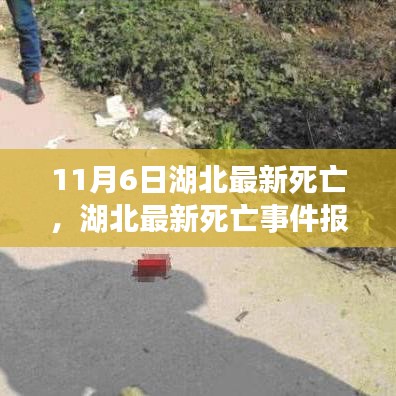 湖北最新死亡事件深度解析与评估报道（11月6日）