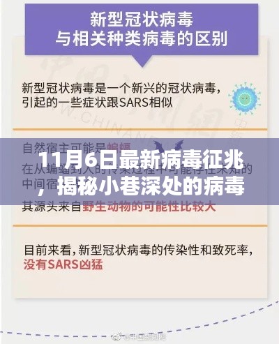 揭秘小巷深处的病毒防护小站，体验最新病毒征兆下的独特体验