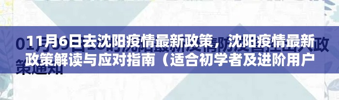 沈阳疫情最新政策解读与应对指南，初学者与进阶用户的必备指南（11月6日更新）