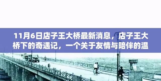 店子王大桥下的奇遇记，友情与陪伴的温馨故事（最新消息）