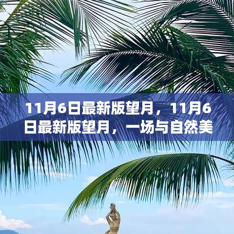 11月6日最新版望月，与自然美景的浪漫邂逅