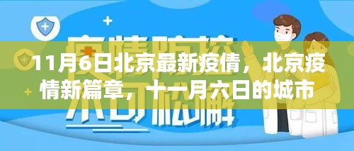 北京疫情最新动态，11月6日城市挑战与应对策略