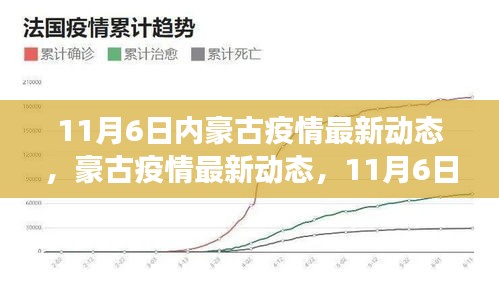 豪古疫情最新动态观察与反思，11月6日更新