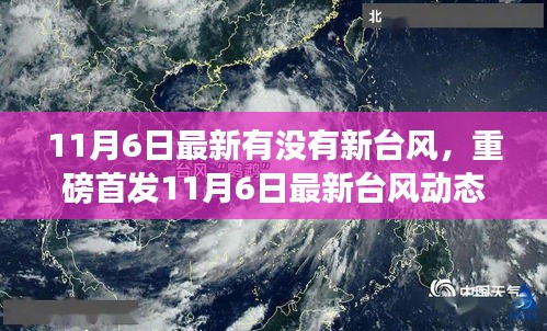 11月6日最新台风动态监测神器发布，科技引领气象新纪元