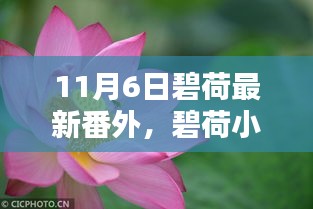 碧荷小记，11月6日温馨日常番外篇