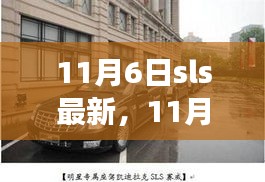 11月6日SLS新篇章，变化催化成长，学习铸就自信与力量