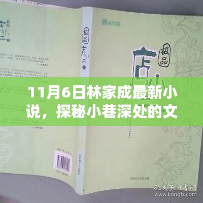 探秘小巷深处的神秘小店，林家成最新小说背后的故事